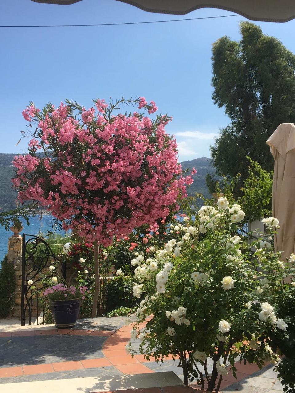 Roditses Beach Sea Front Apartments Samos Town Zewnętrze zdjęcie