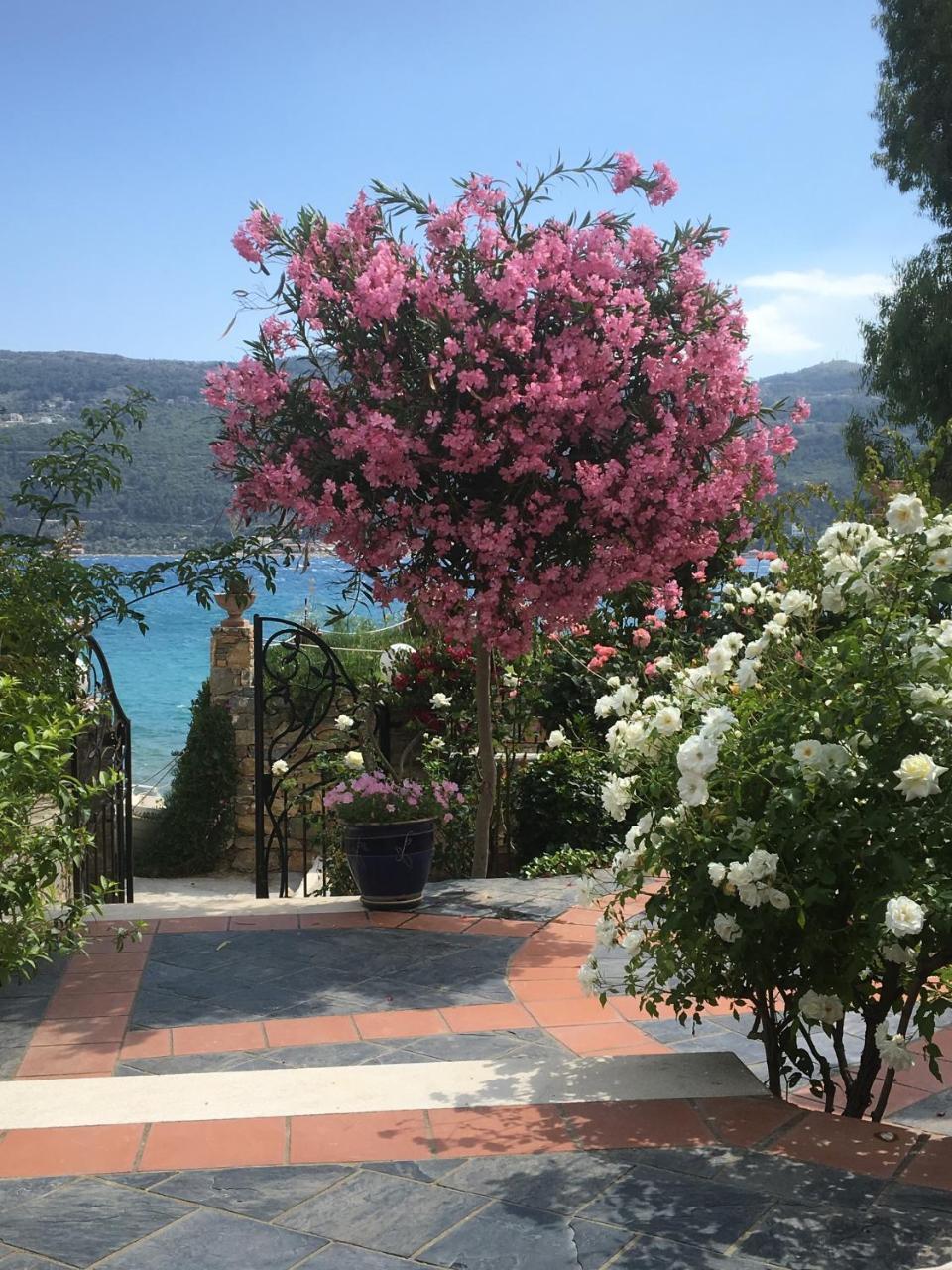 Roditses Beach Sea Front Apartments Samos Town Zewnętrze zdjęcie
