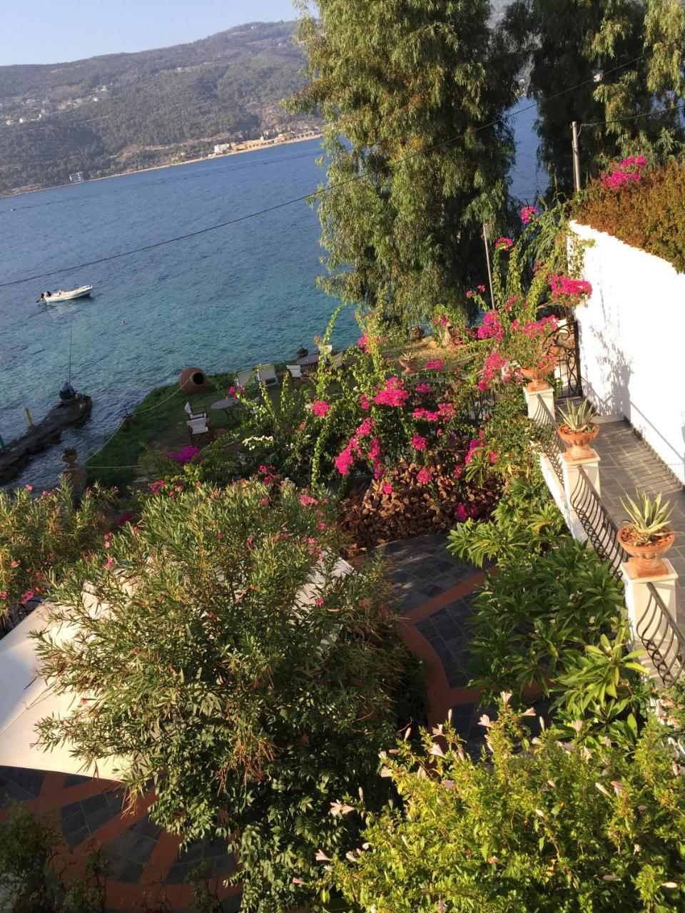 Roditses Beach Sea Front Apartments Samos Town Zewnętrze zdjęcie
